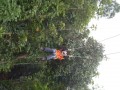 Tn DSC 4012